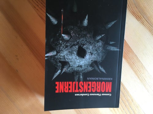 Morgenstjerne - Kriminalroman