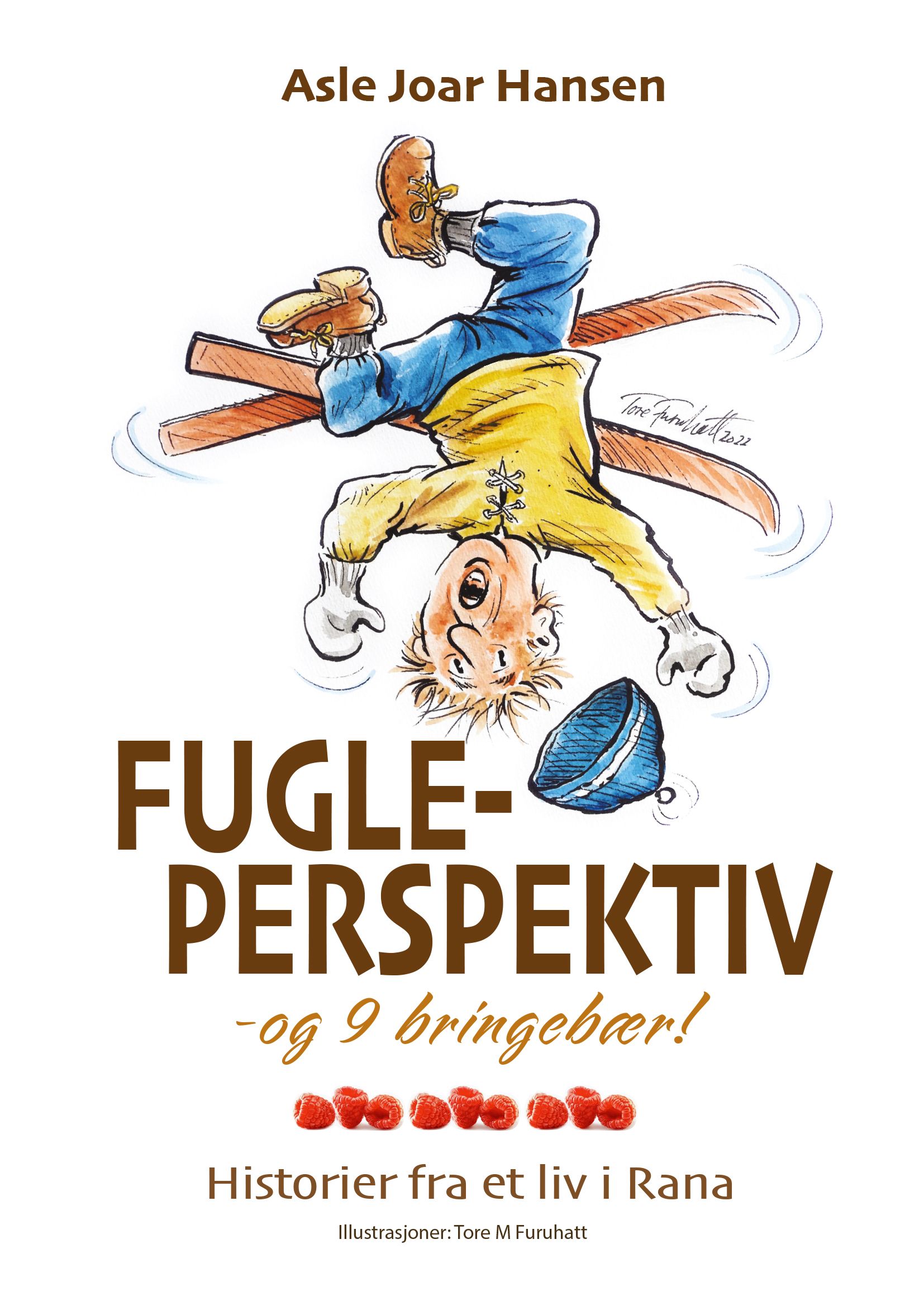 Fugleperspektiv og 9 bringebær - historier fra et liv i Rana