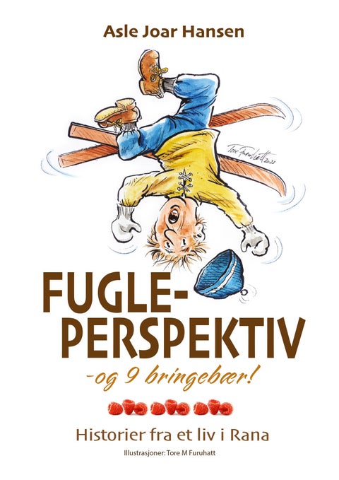 Fugleperspektiv og 9 bringebær - historier fra et liv i Rana