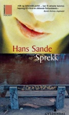 Sprekk - roman