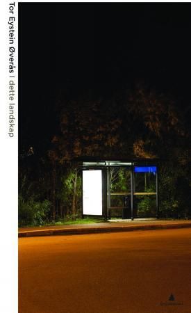 I dette landskap - artikler og essays