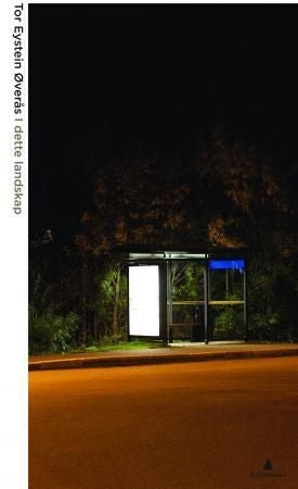 I dette landskap - artikler og essays