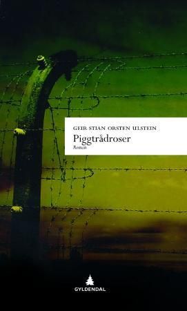 Piggtrådroser - roman