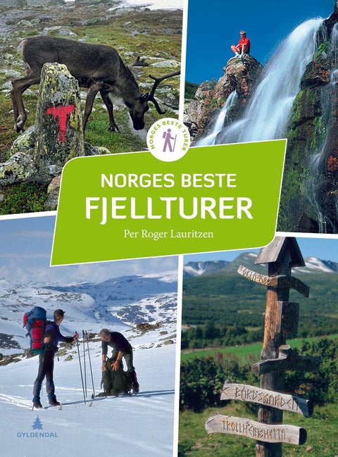 Norges beste fjellturer - 50 flotte opplevelser fra nord til sør