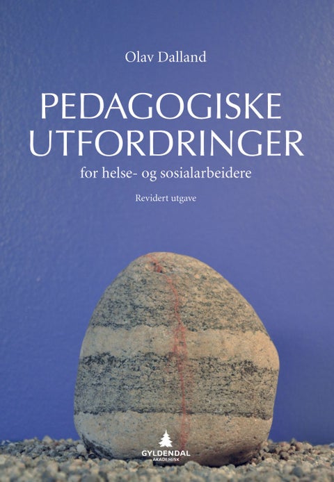 Pedagogiske utfordringer for helse- og sosialarbeidere