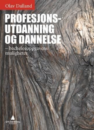 Profesjonsutdanning og dannelse - bacheloroppgavens muligheter