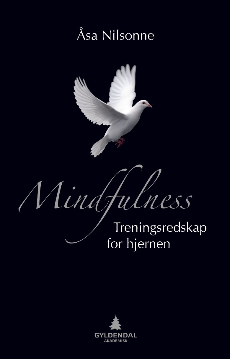 Mindfulness - treningsredskap for hjernen
