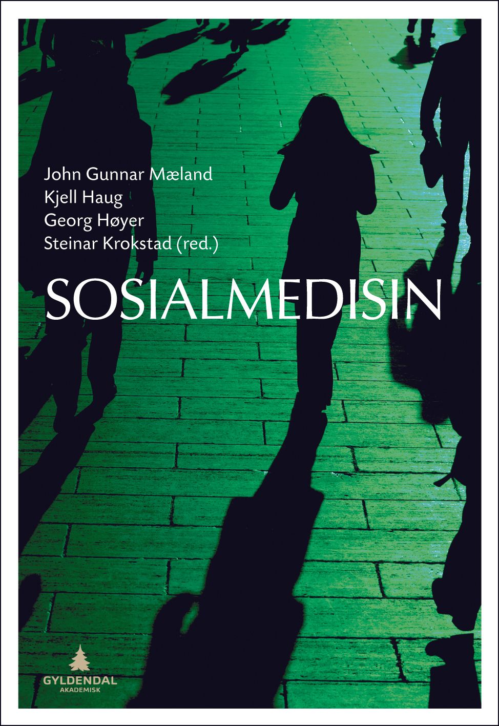Sosialmedisin