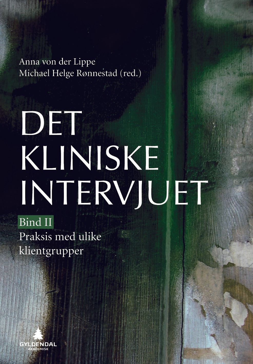 Det kliniske intervjuet - bind II : praksis med ulike klientgrupper