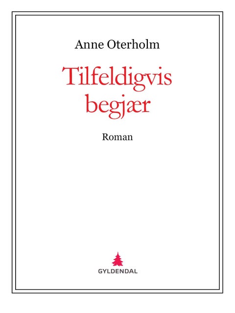 Tilfeldigvis begjær - roman
