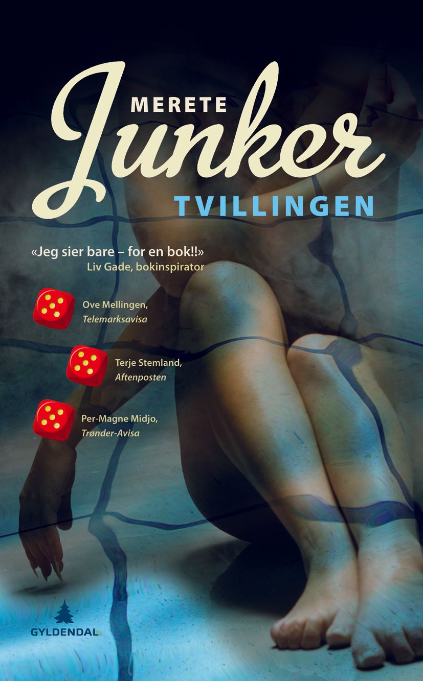 Tvillingen - kriminalroman