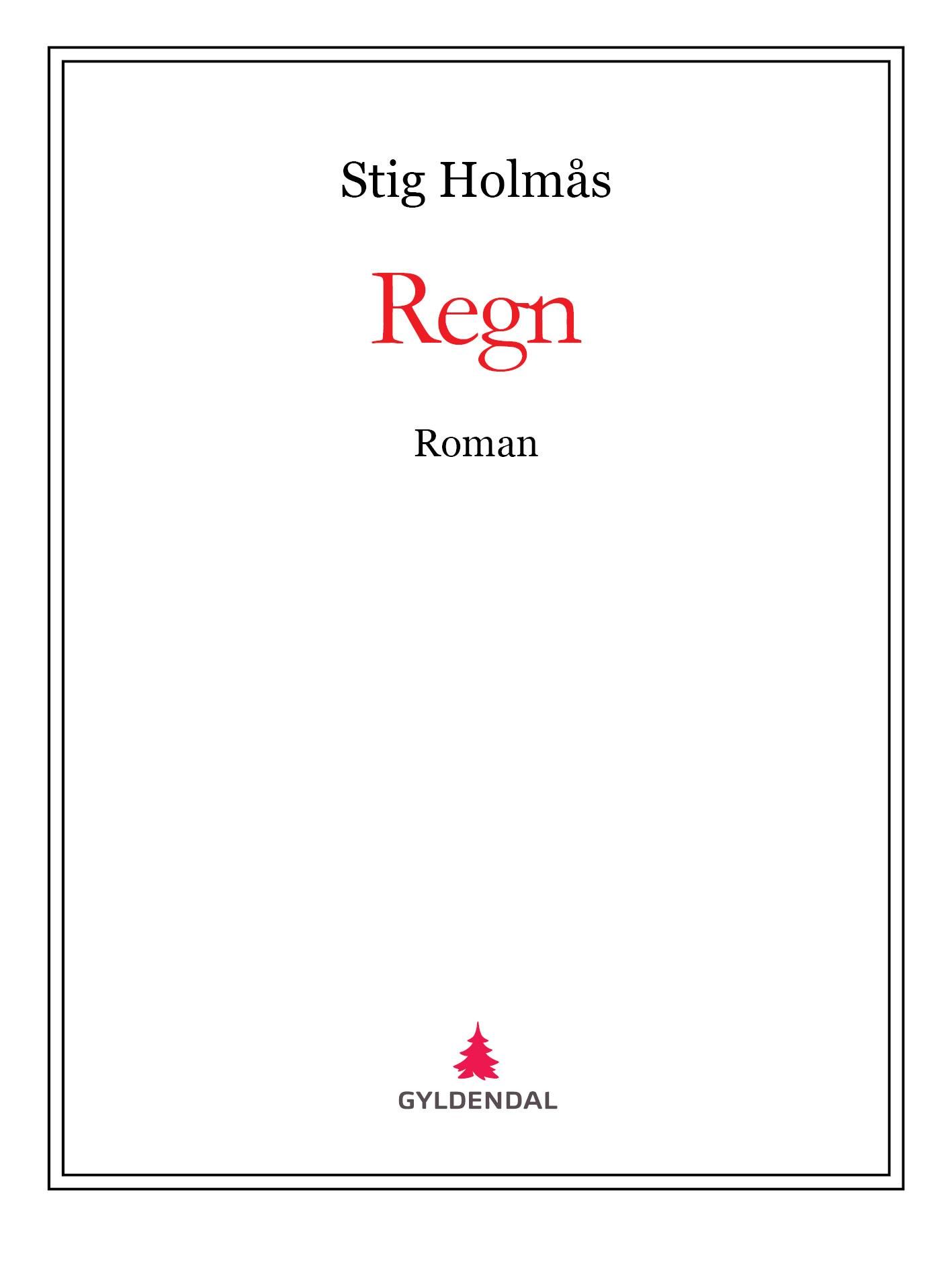 Regn - roman