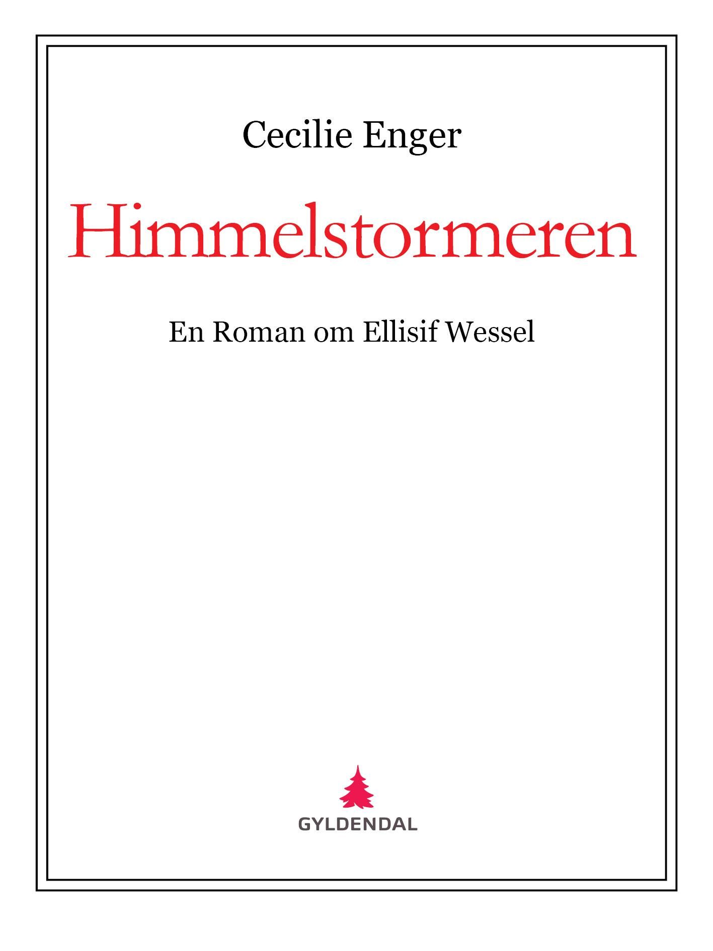 Himmelstormeren - en roman om Ellisif Wessel