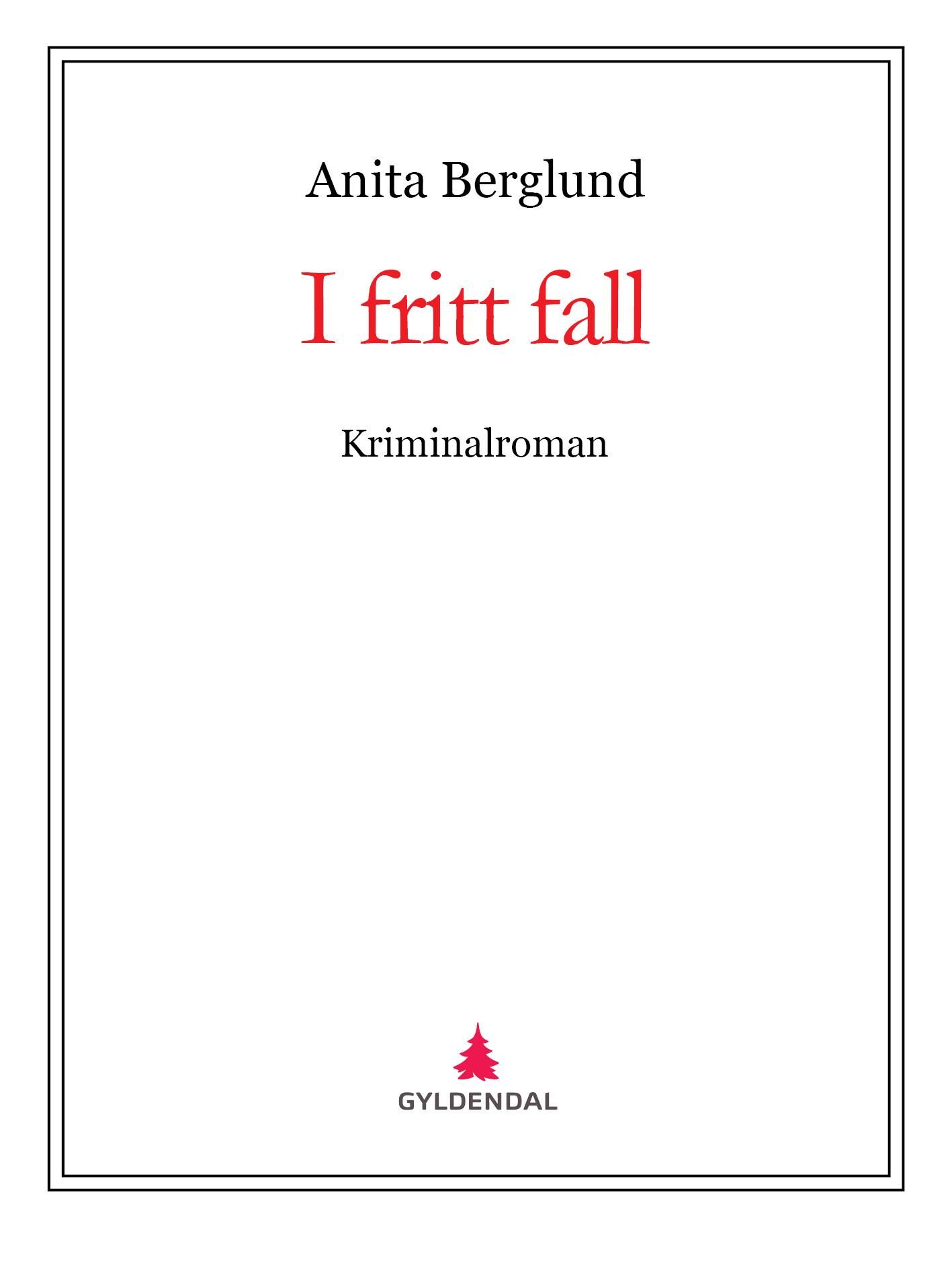 I fritt fall - kriminalroman