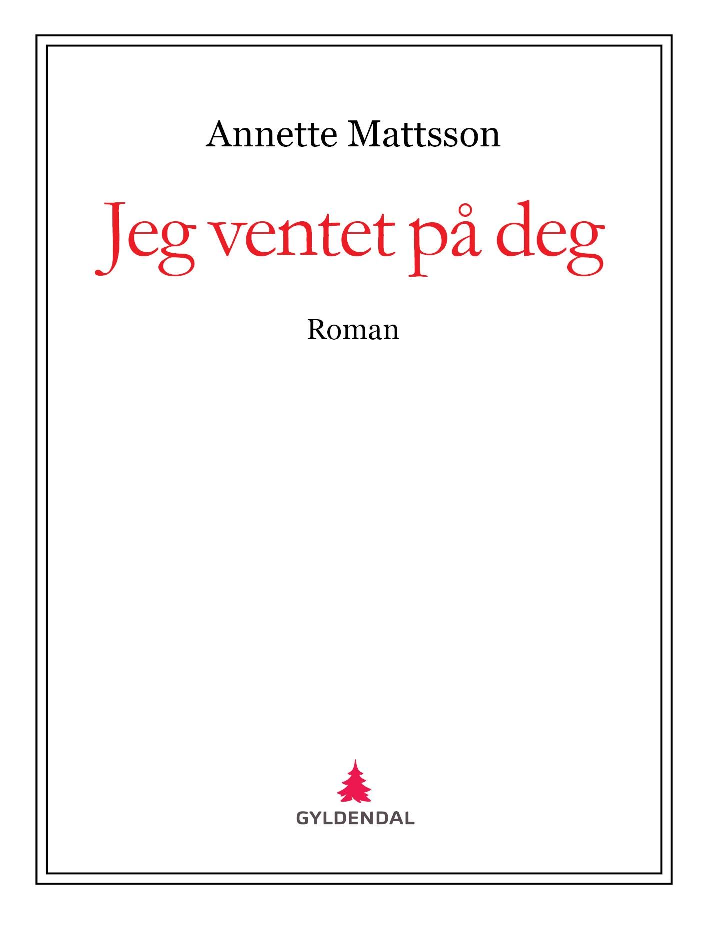 Jeg ventet på deg - roman