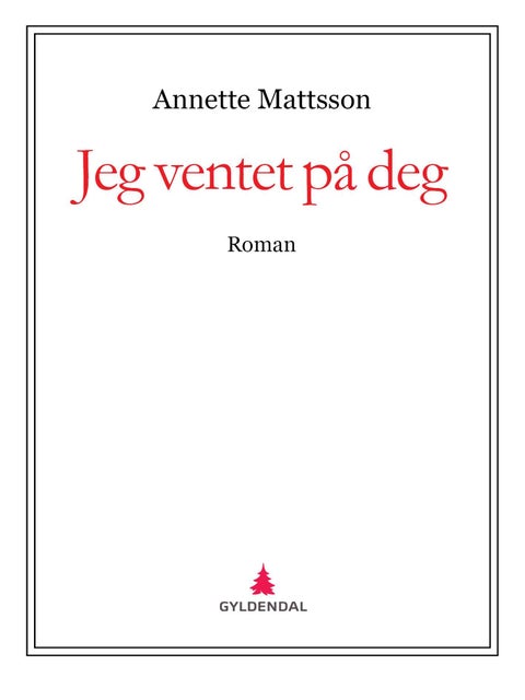 Jeg ventet på deg - roman