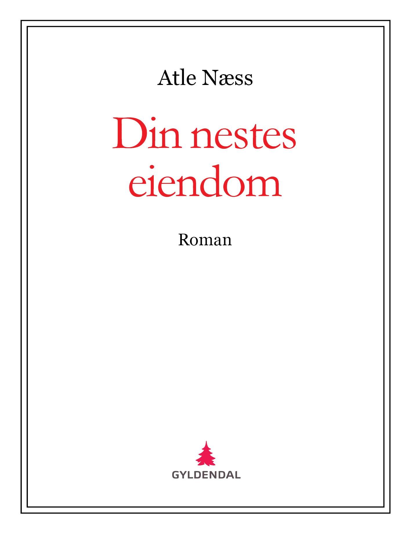 Din nestes eiendom - roman