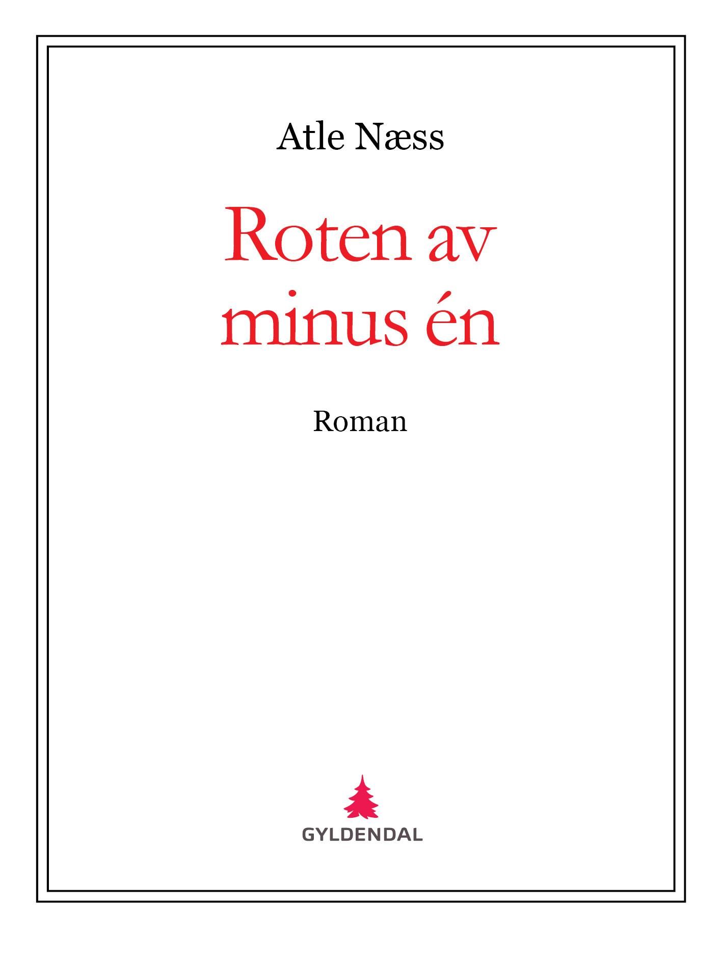 Roten av minus én - roman