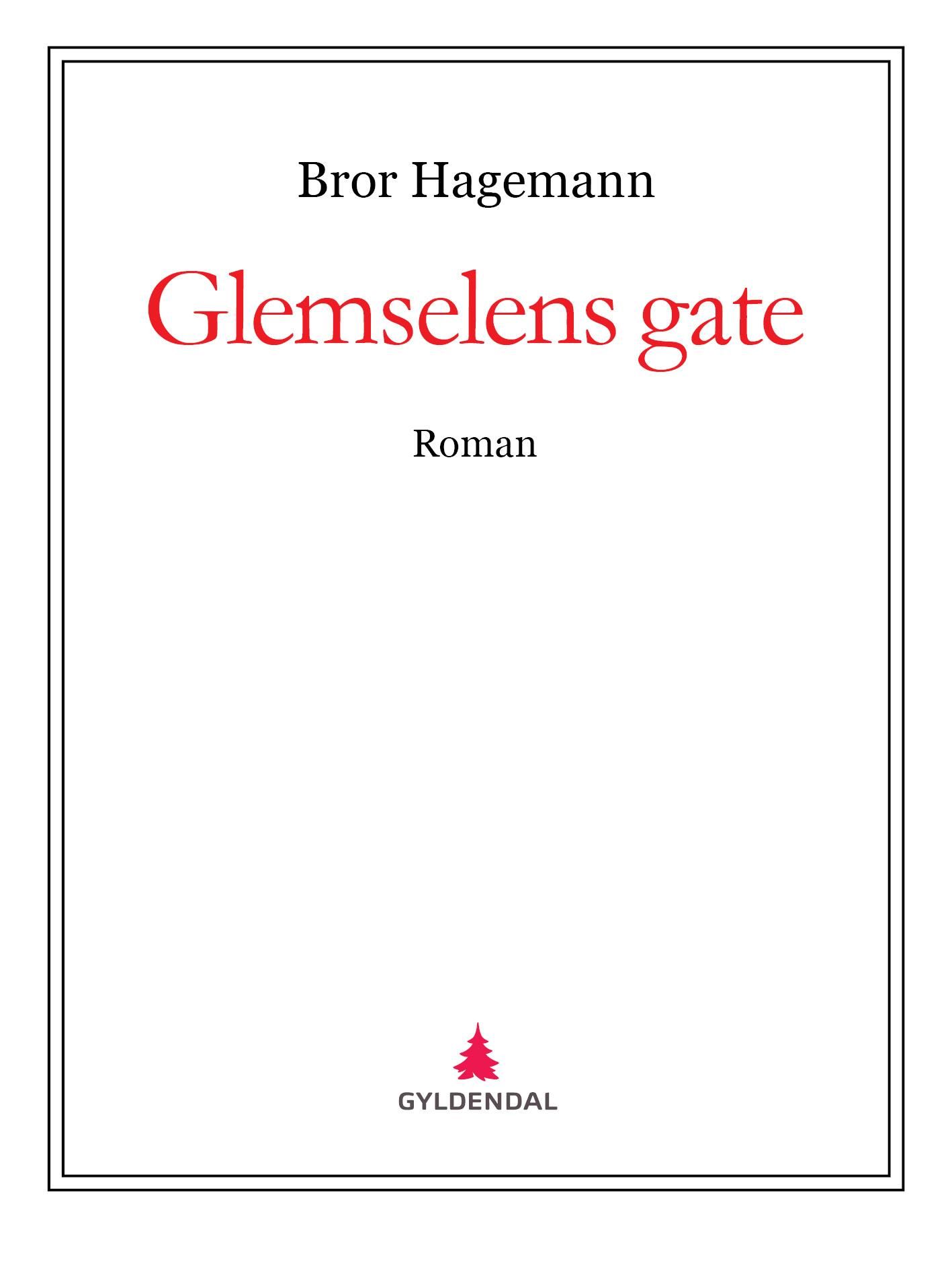 Glemselens gate - roman