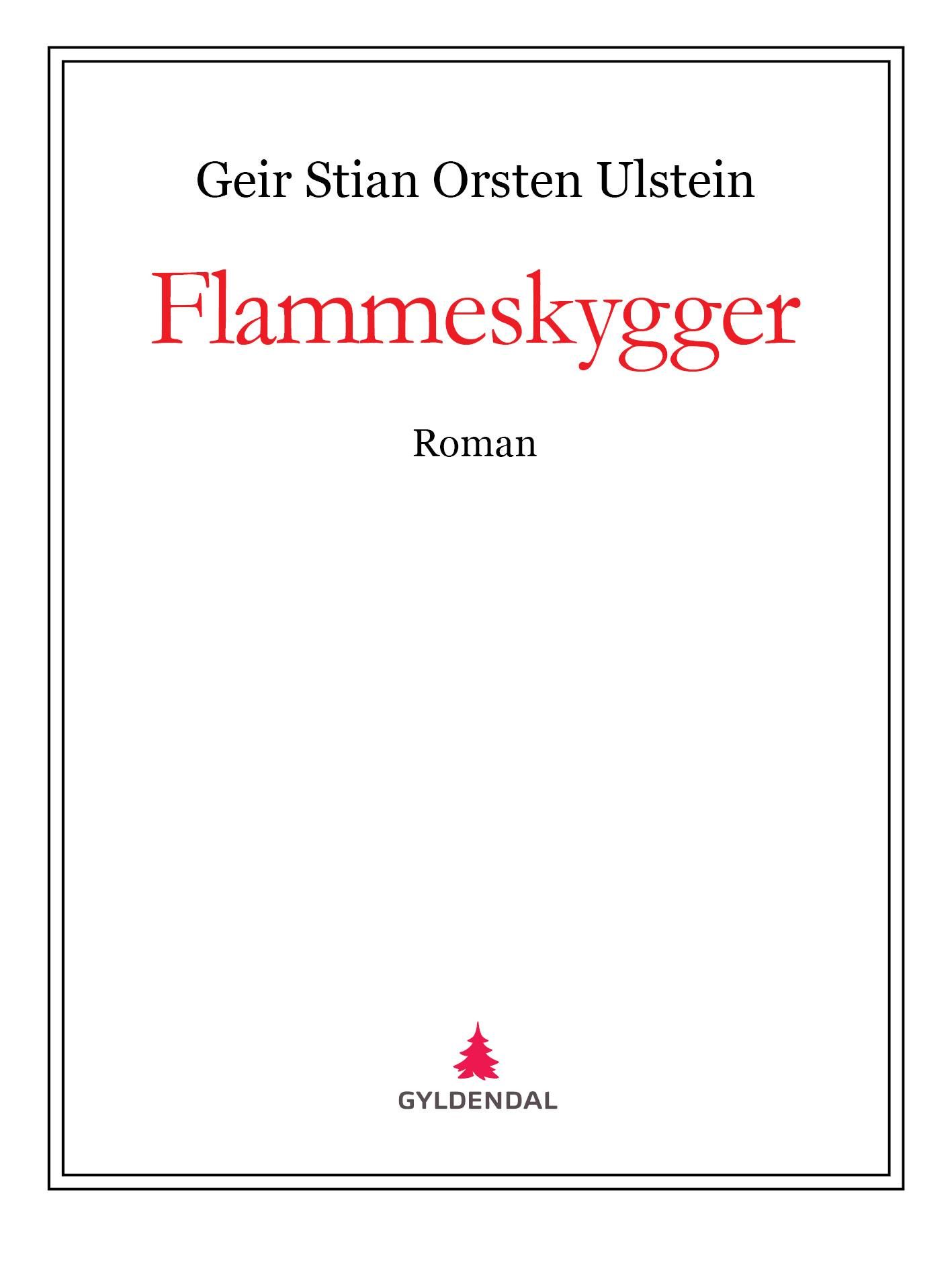 Flammeskygger - roman