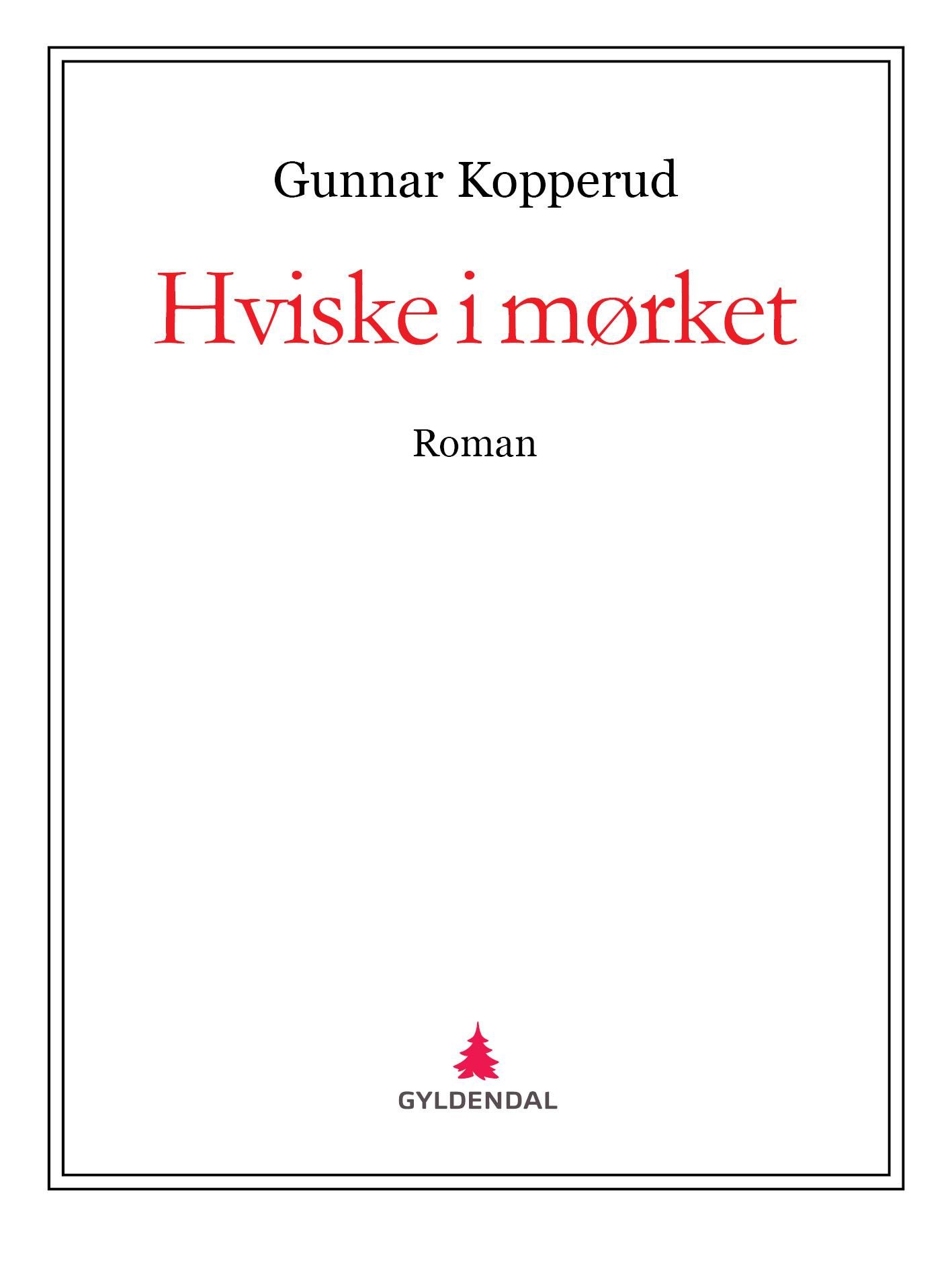 Hviske i mørket - roman