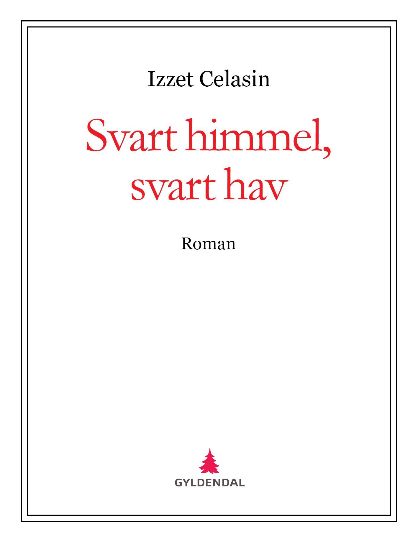 Svart himmel, svart hav - roman