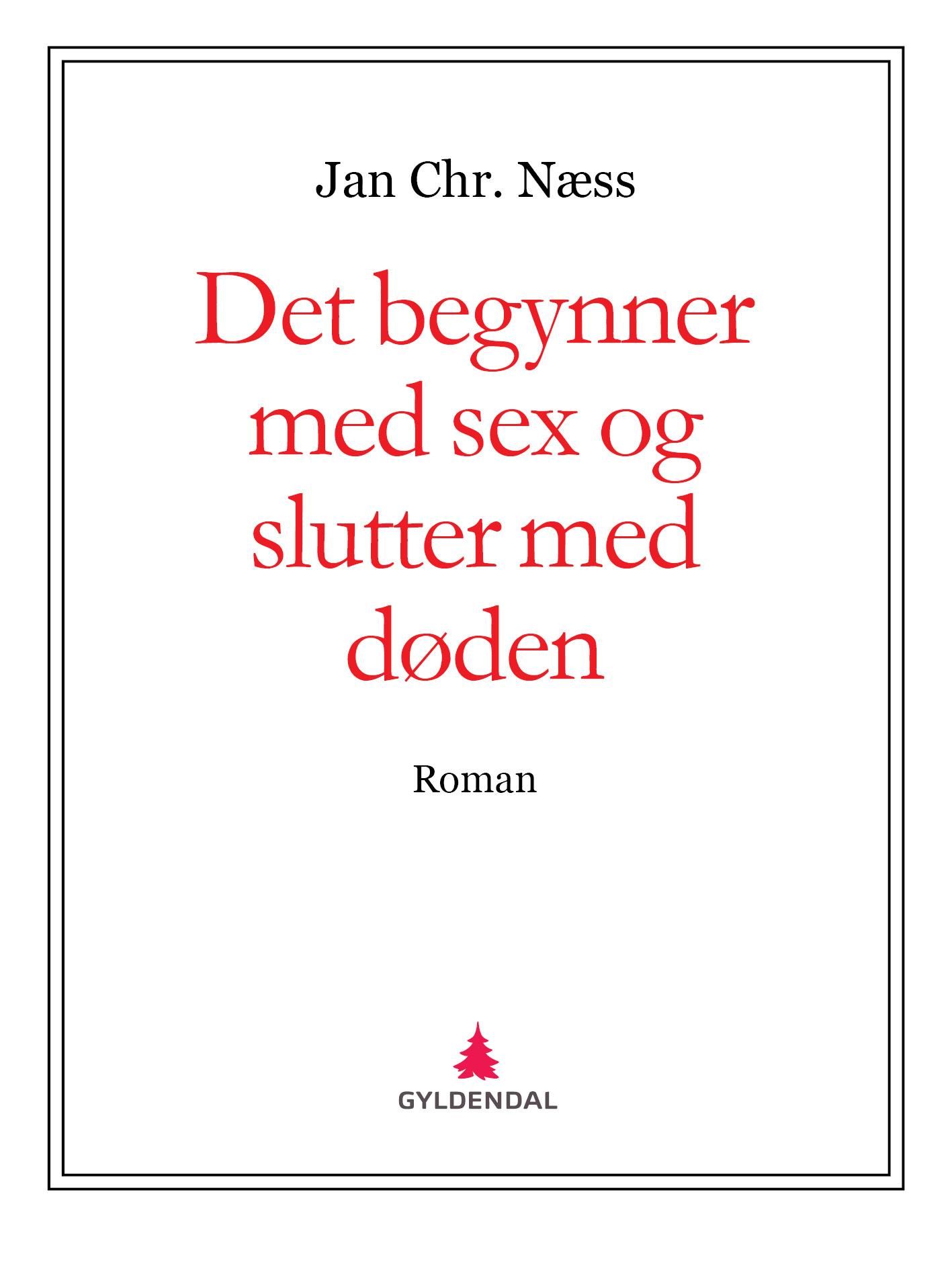 Det begynner med sex og slutter med døden - roman