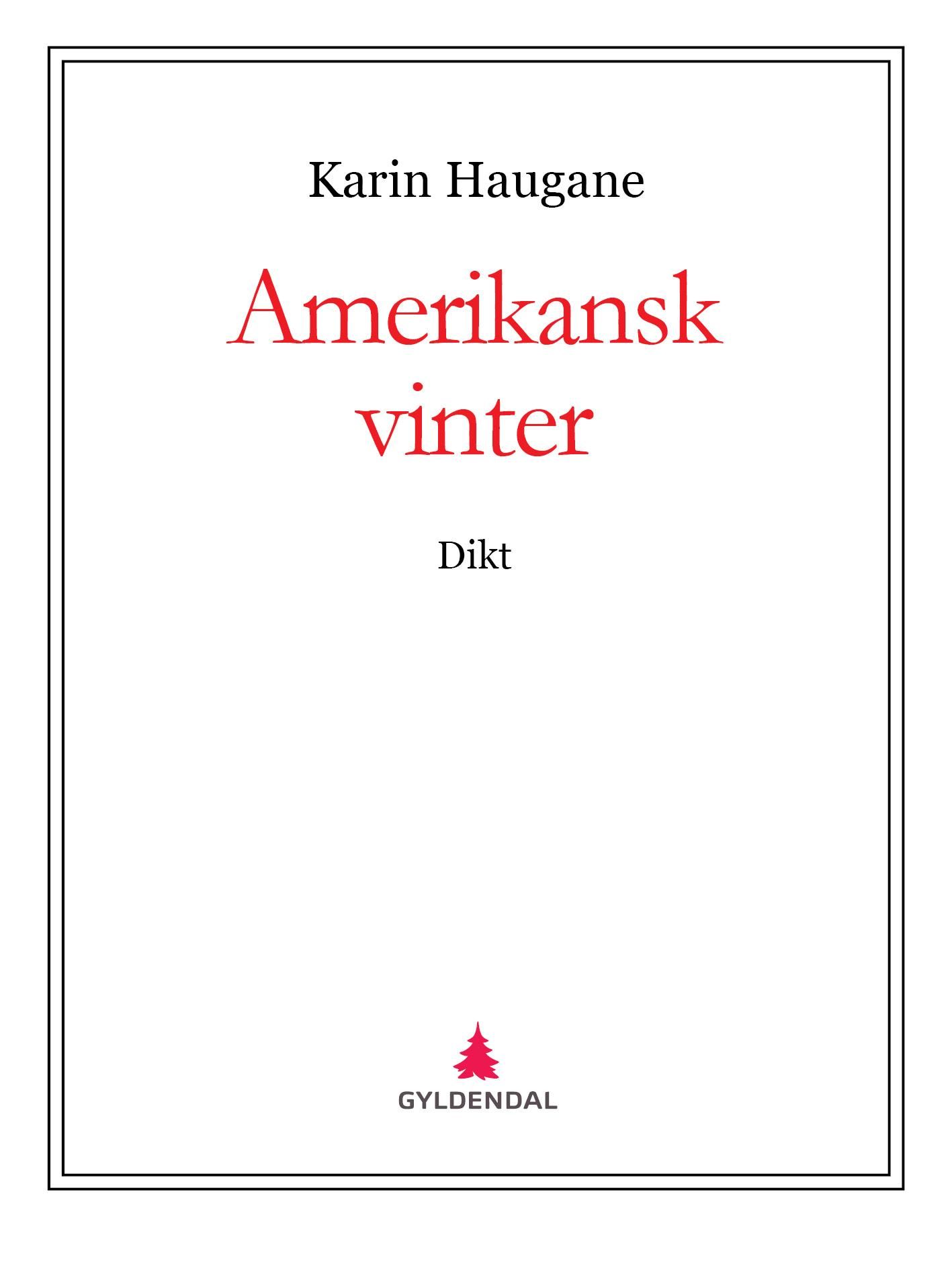 Amerikansk vinter - dikt