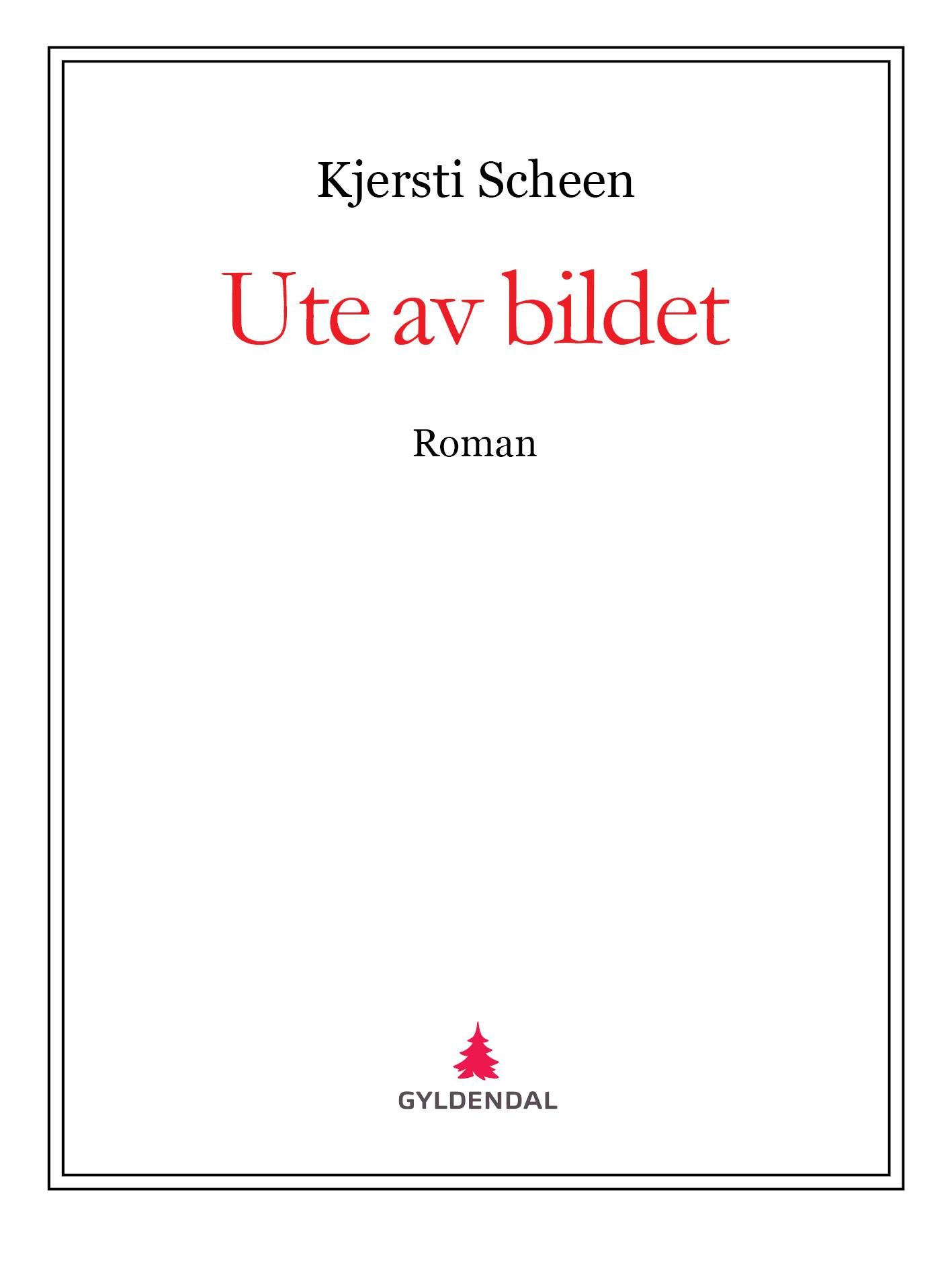 Ute av bildet - roman