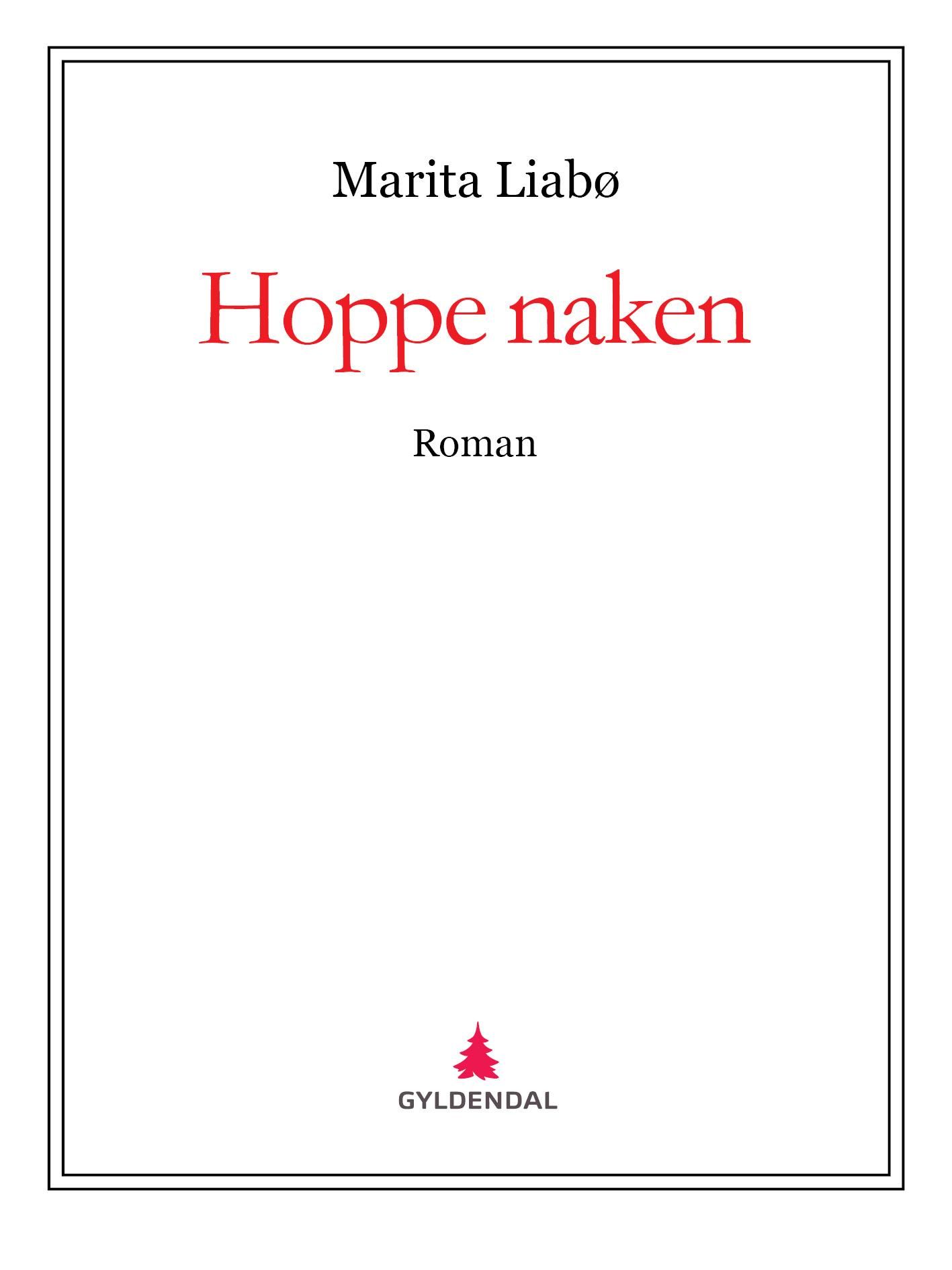 Hoppe naken - roman