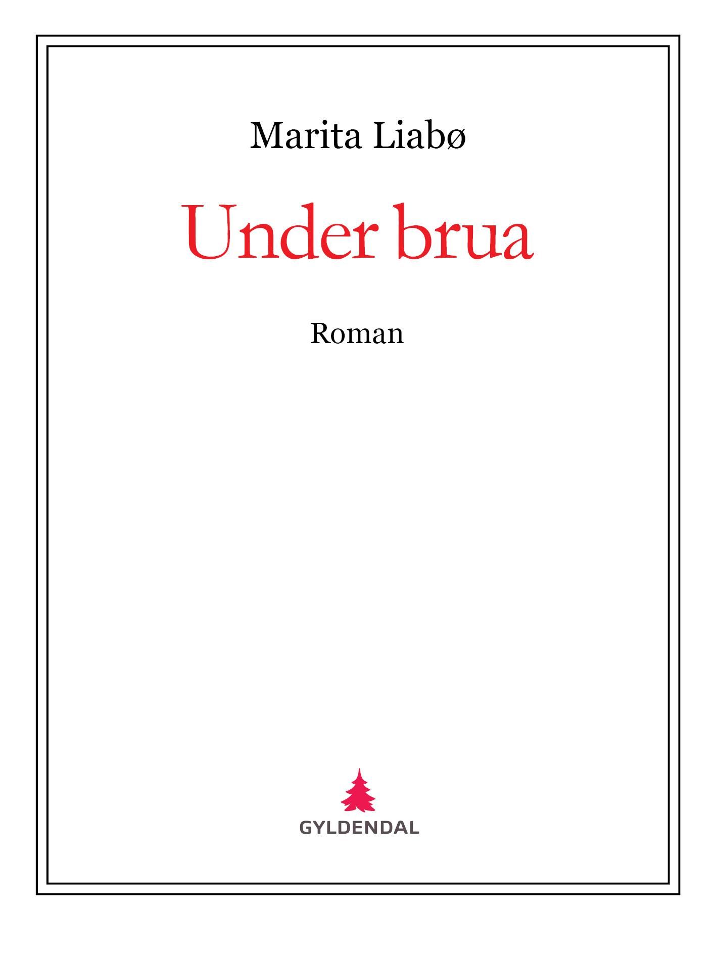 Under brua - roman