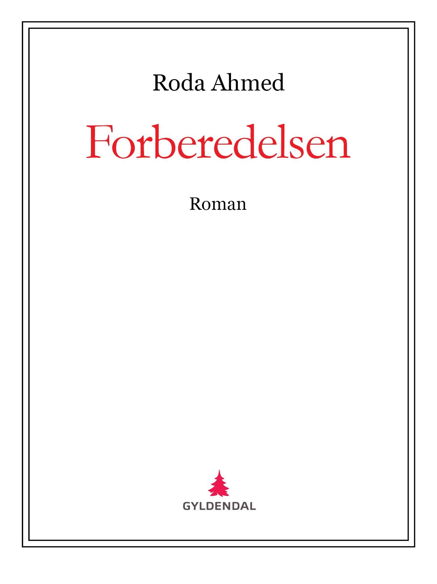 Forberedelsen - roman