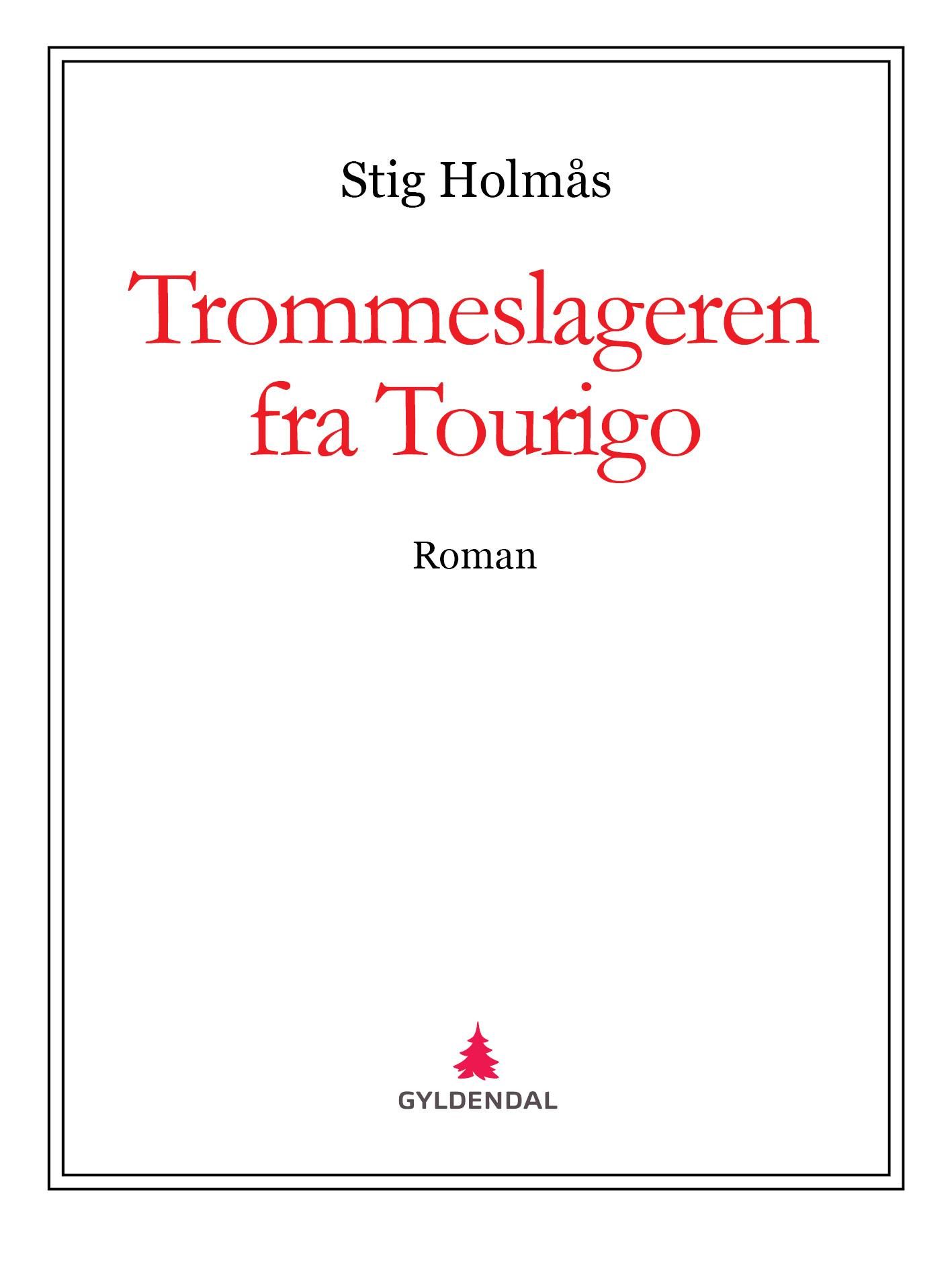 Trommeslageren fra Tourigo - roman