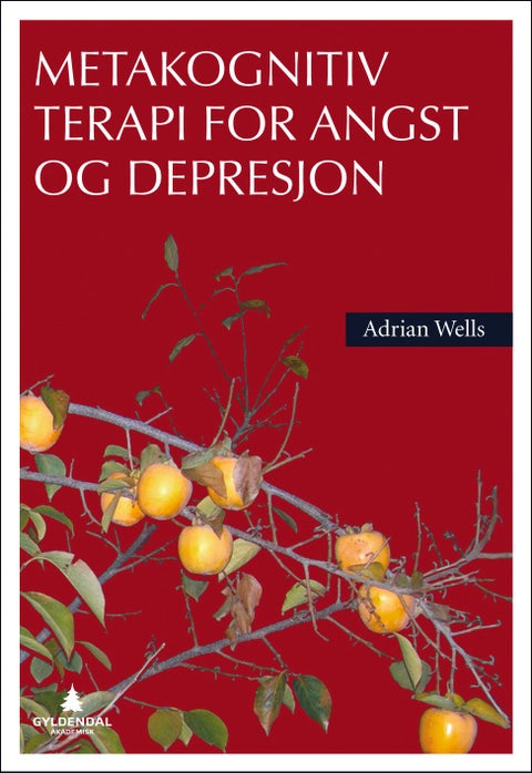 Metakognitiv terapi for angst og depresjon