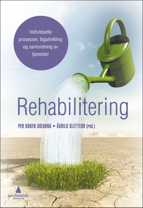 Rehabilitering - individuelle prosesser, fagutvikling og samordning av tjenester