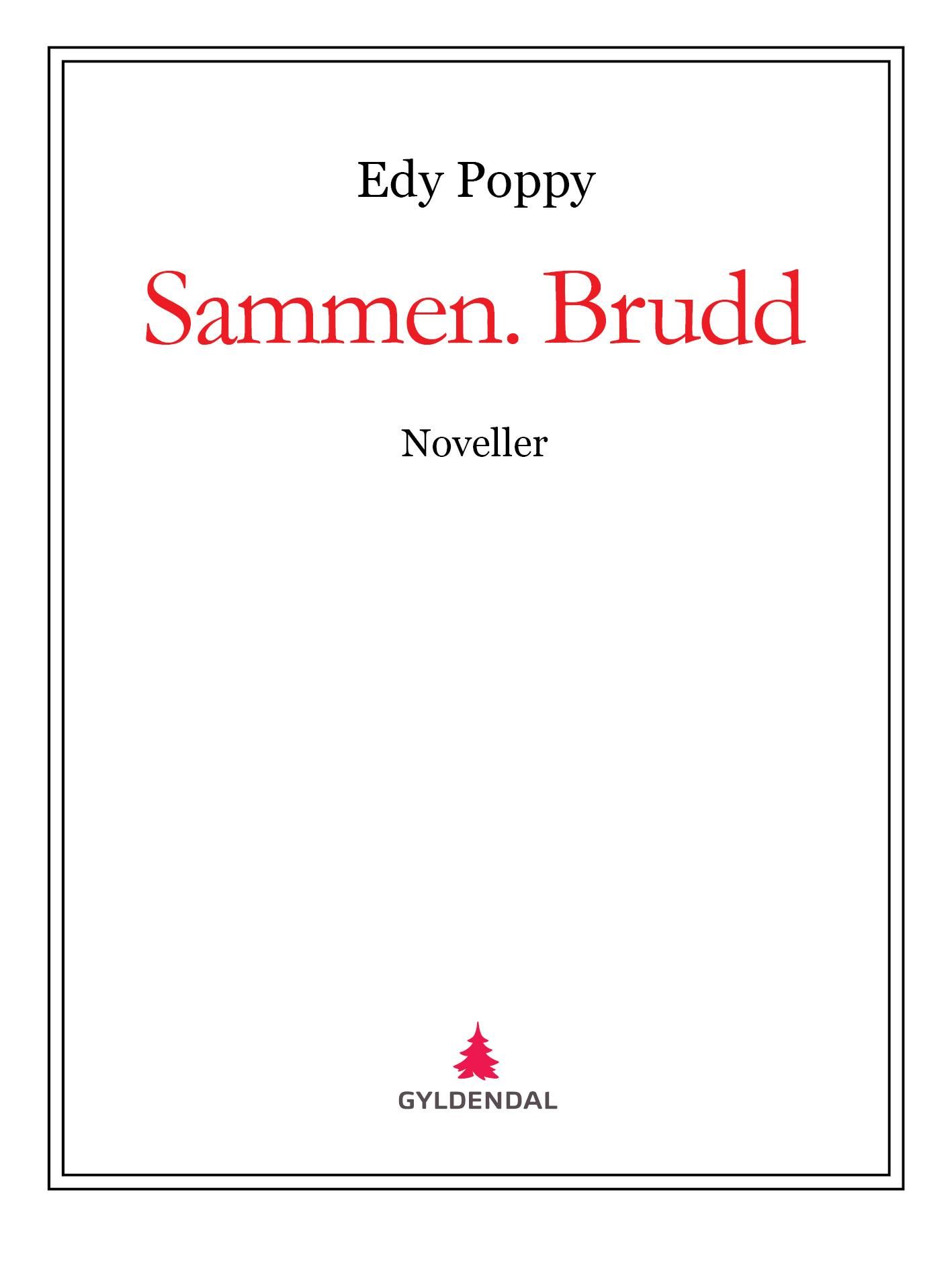 Sammen. Brudd - noveller