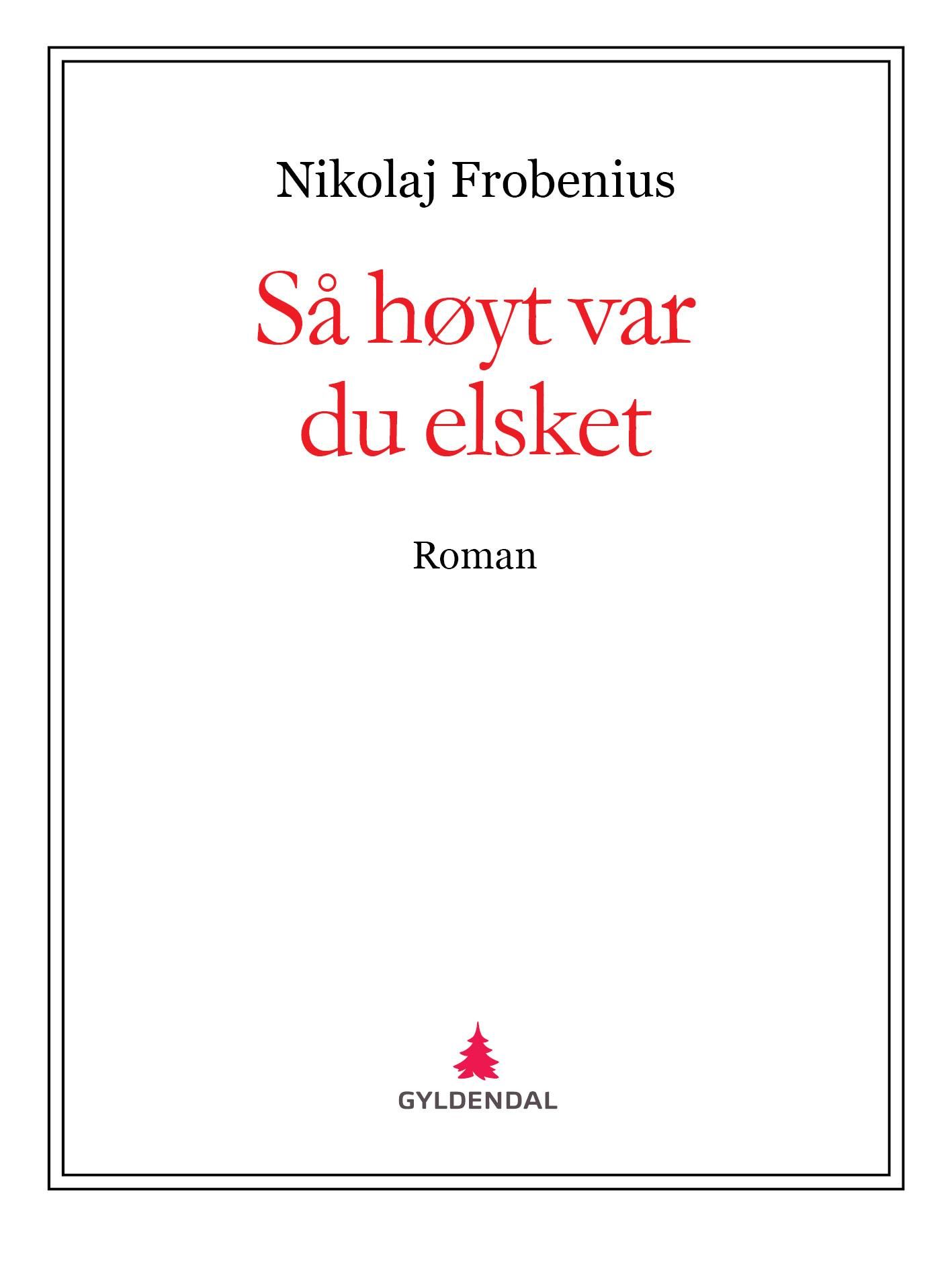 Så høyt var du elsket - roman