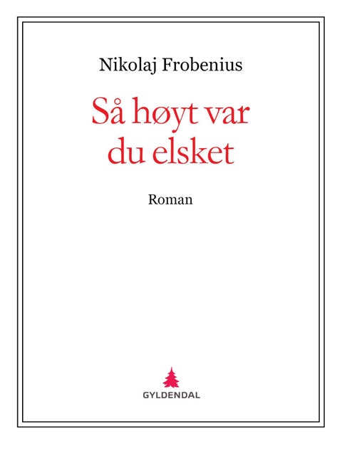 Så høyt var du elsket - roman