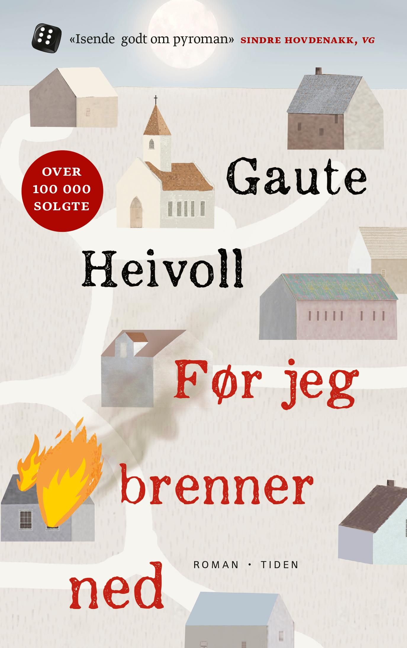 Før jeg brenner ned - roman