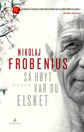 Så høyt var du elsket - roman