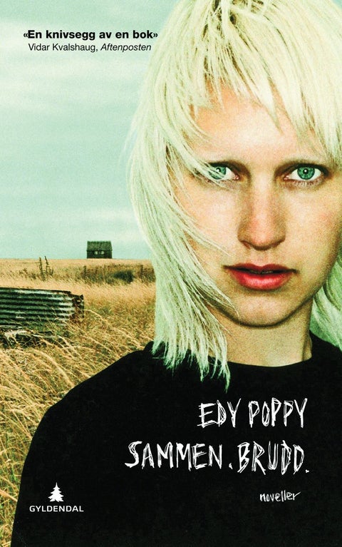 Sammen. Brudd. - noveller