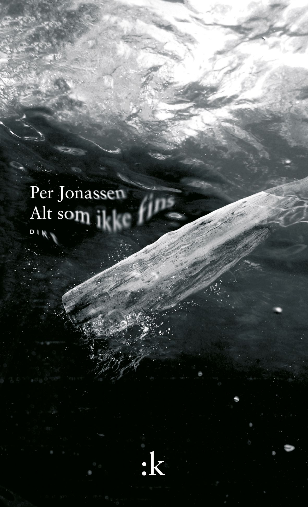 Alt som ikke fins - dikt