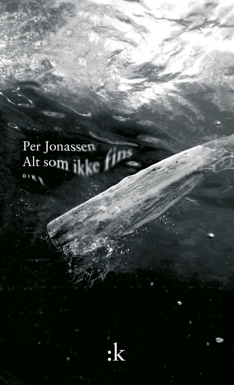 Alt som ikke fins - dikt