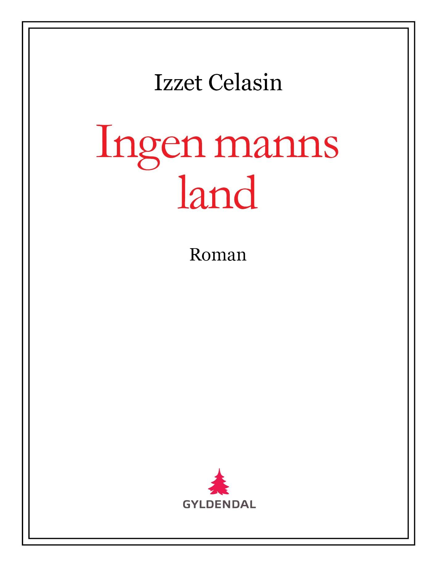 Ingen manns land - roman