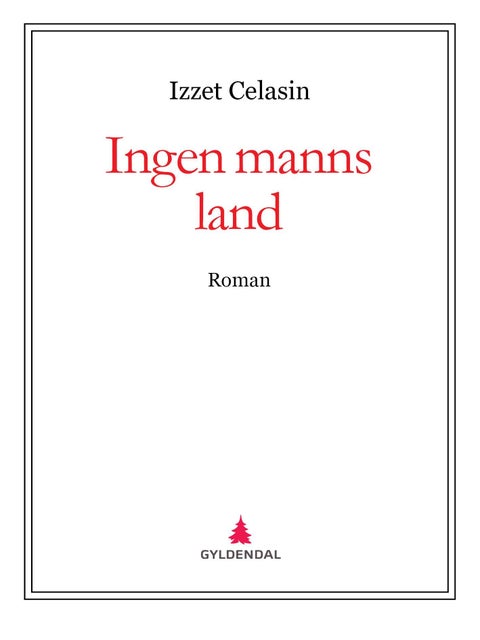 Ingen manns land - roman