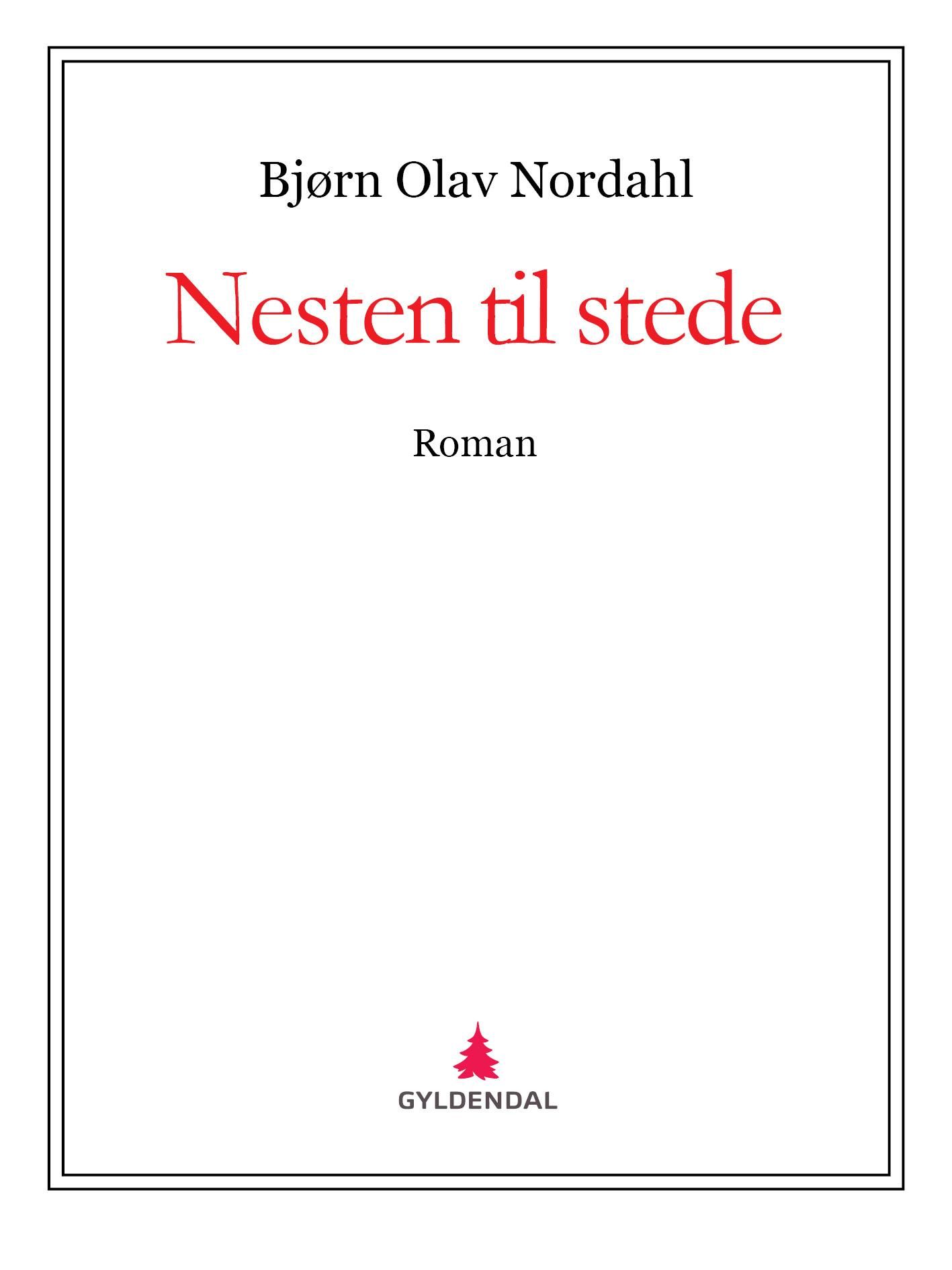 Nesten til stede - roman