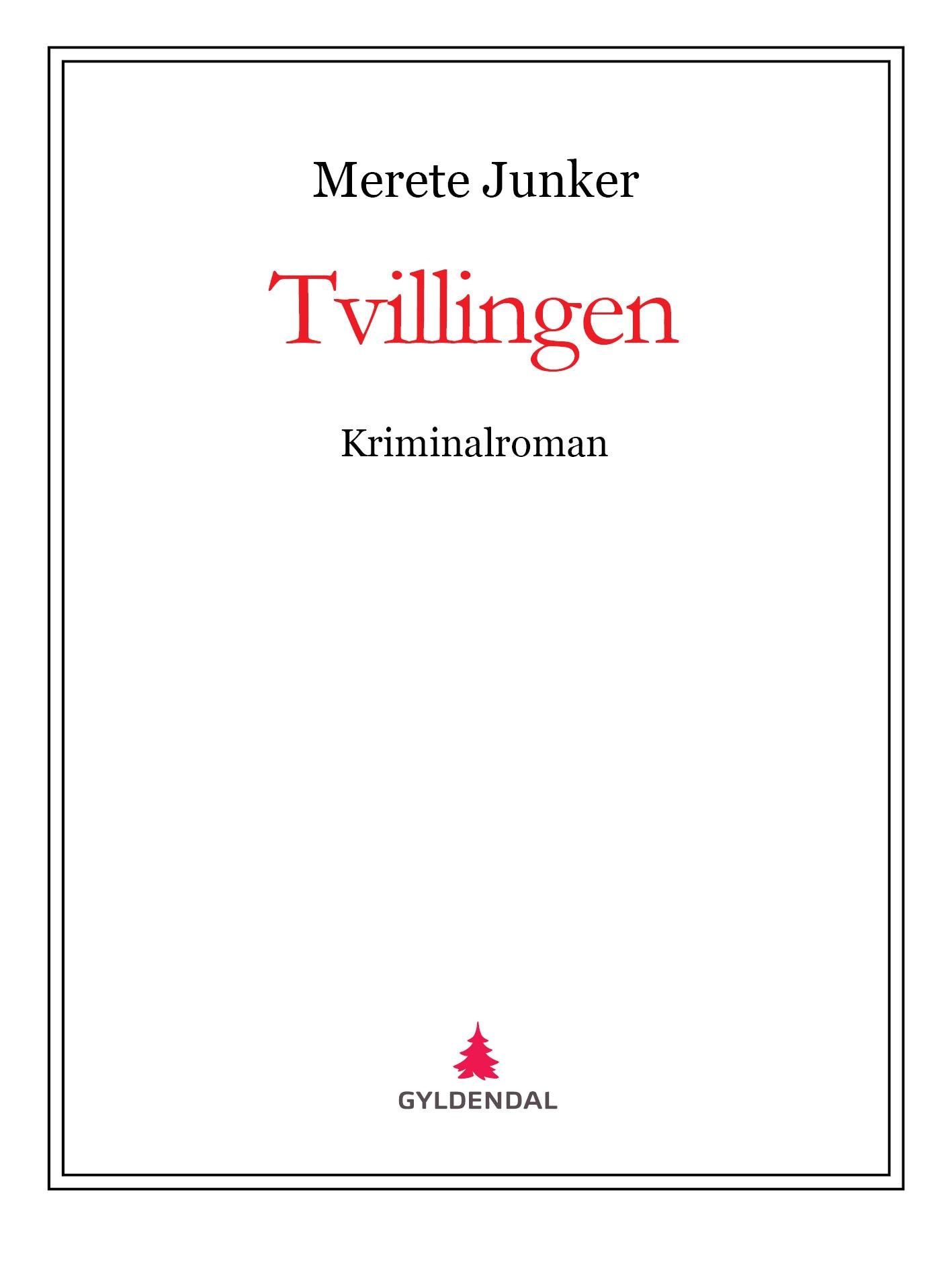 Tvillingen - kriminalroman