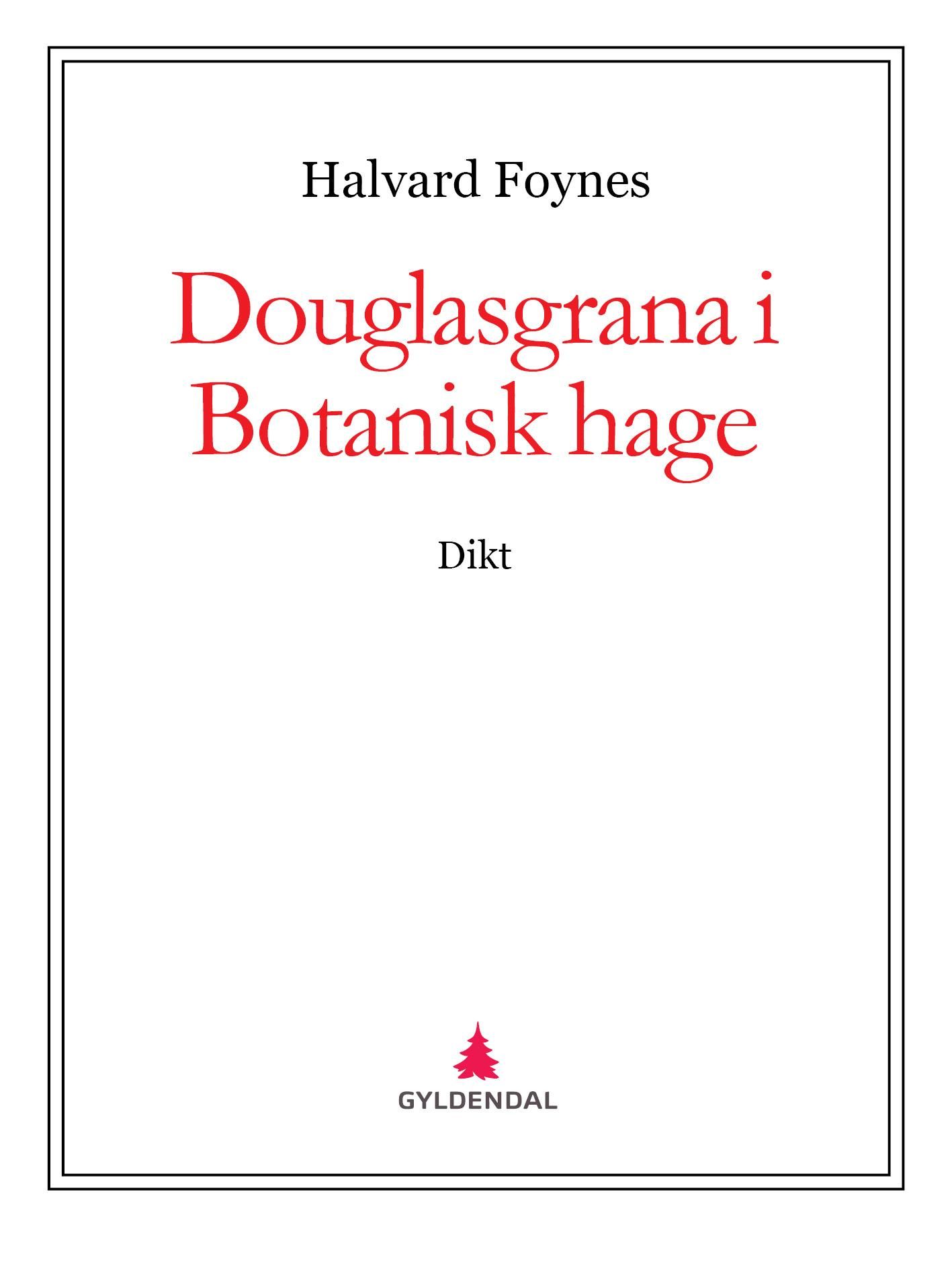 Douglasgrana i Botanisk hage - dikt
