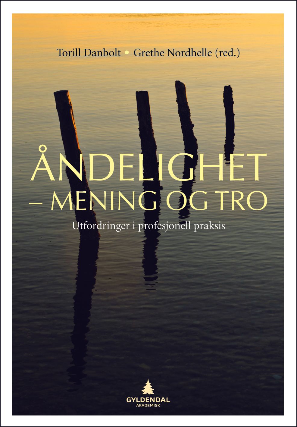 Åndelighet - mening og tro - utfordringer i profesjonell praksis