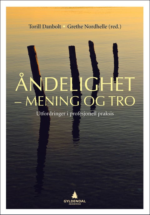 Åndelighet - mening og tro - utfordringer i profesjonell praksis